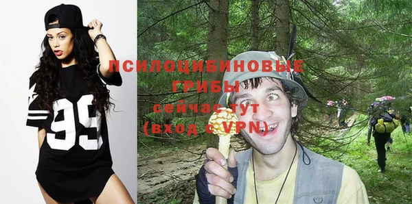 дмт Горно-Алтайск