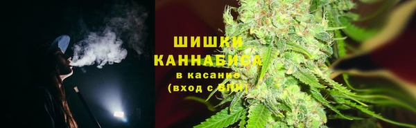 спайс Гусев
