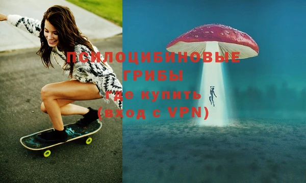 спайс Гусев